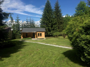 Vila Mura, Toplița